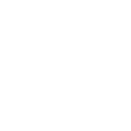 Shopping Cart Solutions